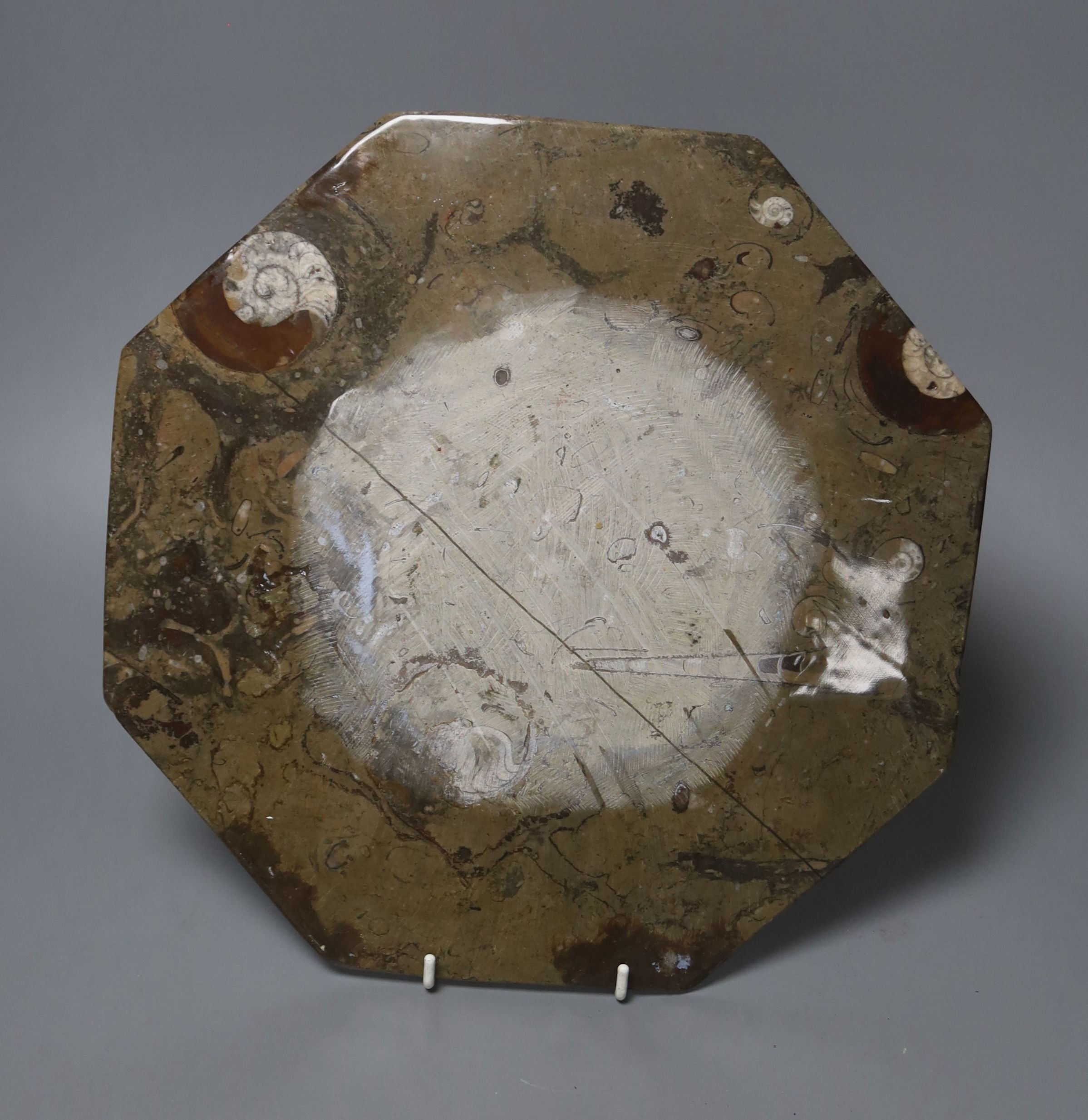 A fossil marble octagonal dish 30cm, containing an ammonite and belemnites